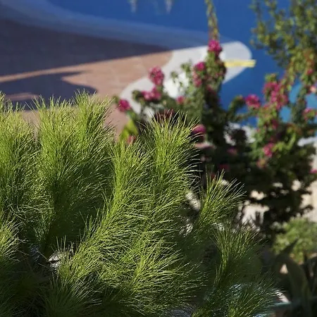 Pilot's Luxury خيرسونِسوس