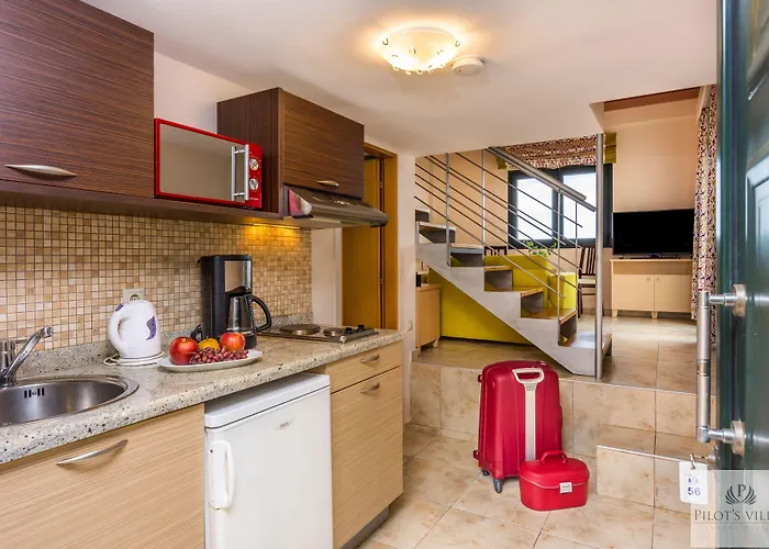 Pilot's Luxury 헐소니소스