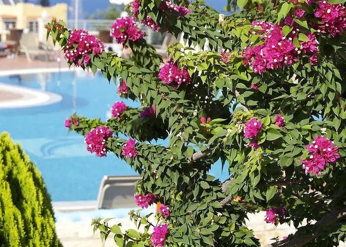 Pilot's Luxury Hersonissos (Crete)