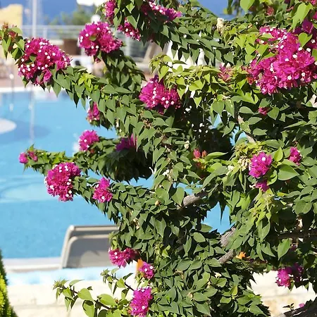 Pilot's Luxury Херсониссос