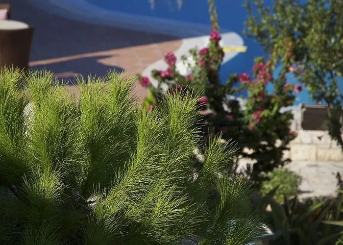 Pilot's Luxury Chersonissos